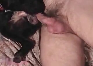 This dog is going to get screwed into submission