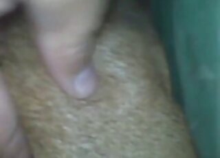 Impassioned animal fucking to make you cum