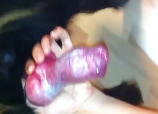 Dog's cock gets handled and orally pleasured