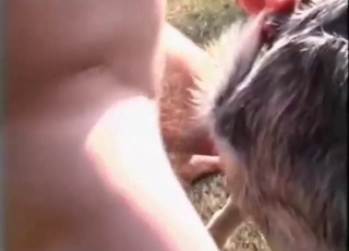 Bestiality porn with a goat getting fucked silly