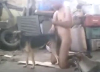 Dog fucking looks great, everyone cums from it