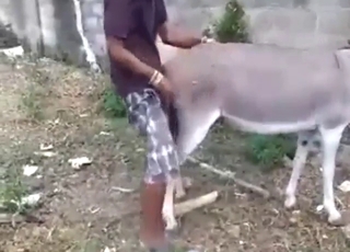 Donkey hole getting fucked from behind, too