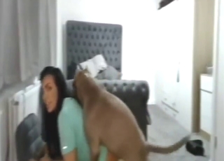 Leggy girl wants a sexy party with a hot beast