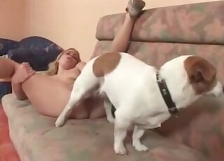Tight pussy fucked by a smallish dog