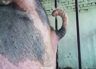Beast