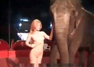 Tube elephant porn Elephant @